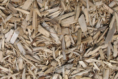 biomass boilers Foxlydiate